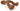 Nylabone Dura Chew Wishbone Bison Dog Toy, Nylabone, Chew Toys, Pet Essentials Warehouse.