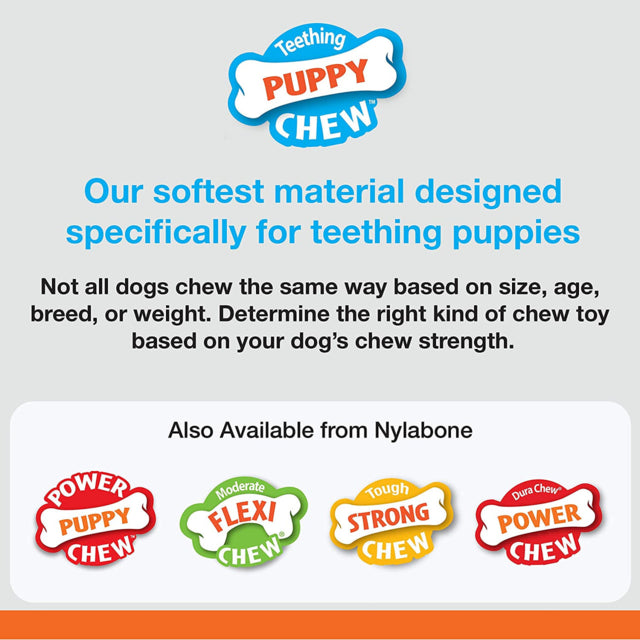 Nylabone Puppy Ring Bone Dog Toy, Chicken chew puppy, Pet Essentials Warehouse, Poster