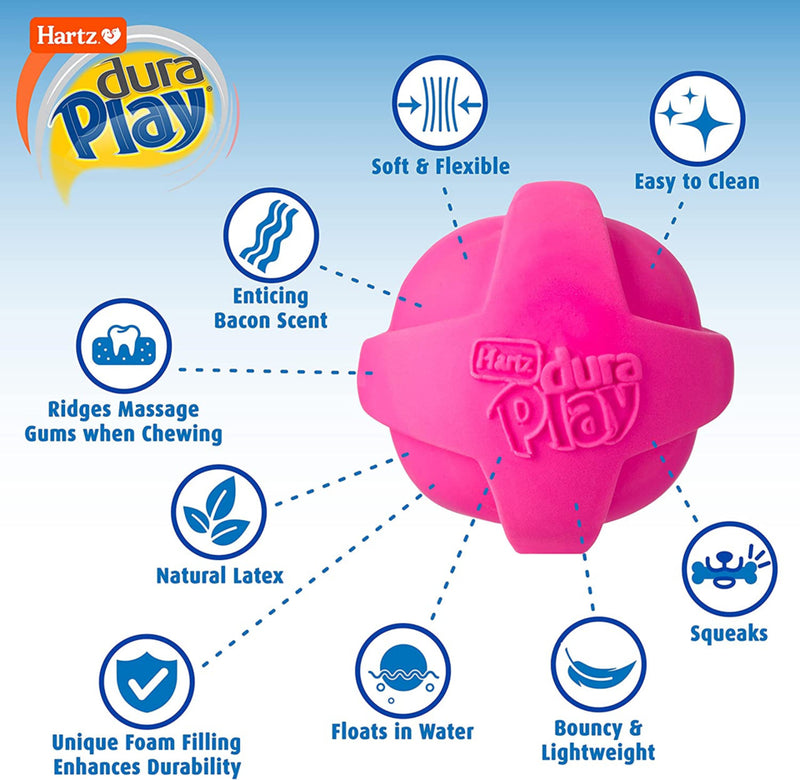 Hartz Dura Play Ball Dog Toy, Floats in water, squeak, poster, Pet Essentials Warehouse