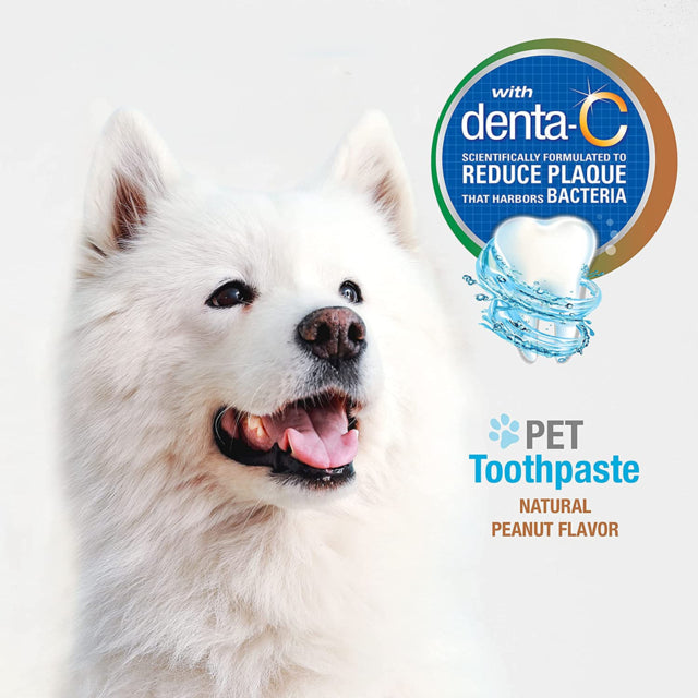 Nylabone Advanced Oral Care Toothpaste, Pet toothpaste, Peanut flavor, Pet Essentials Warehouse, Poster