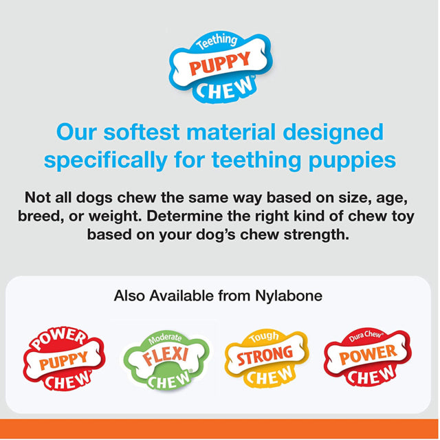 Nylabone Puppy Chew Bone & Ring Bone Twin Pack Dog Toy, Soft for teething Puppies, Chicken Chew, Pet Essentials Warehouse, poster