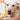Nylabone Power Chew Cheese Bone Dog Toy, Nylabone, Chew Toys, Pet Essentials Warehouse.