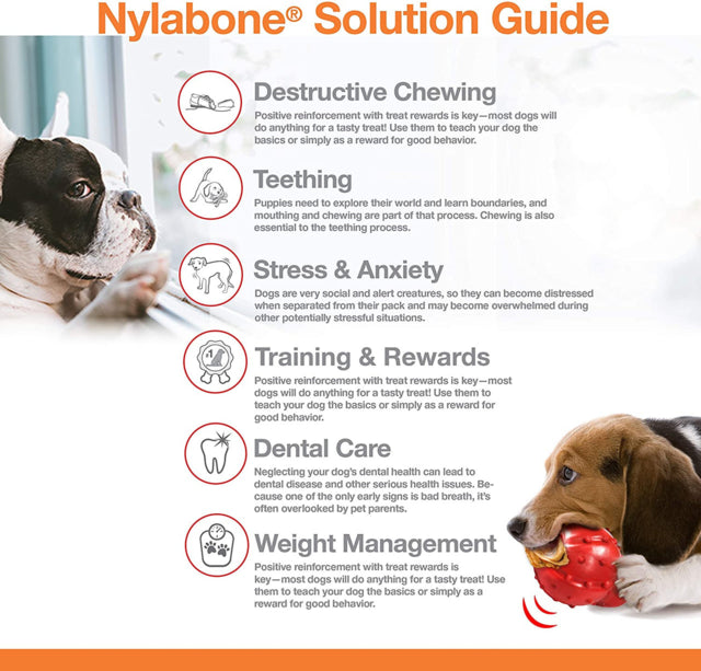 Nylabone Power Chew X Bone Chew Toy, dog toy poster, solution guide, Pet Essentials Warehouse