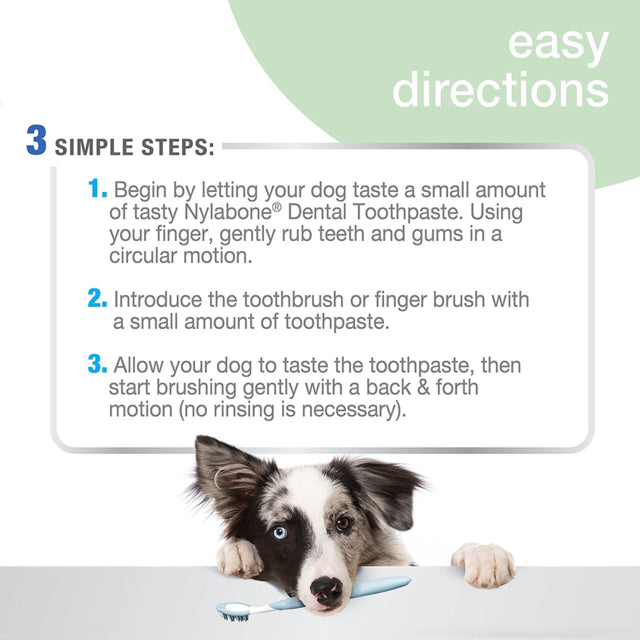 Nylabone Advanced Oral Care Toothpaste, Pet toothpaste, Peanut flavor, Pet Essentials Warehouse, easy directions poster
