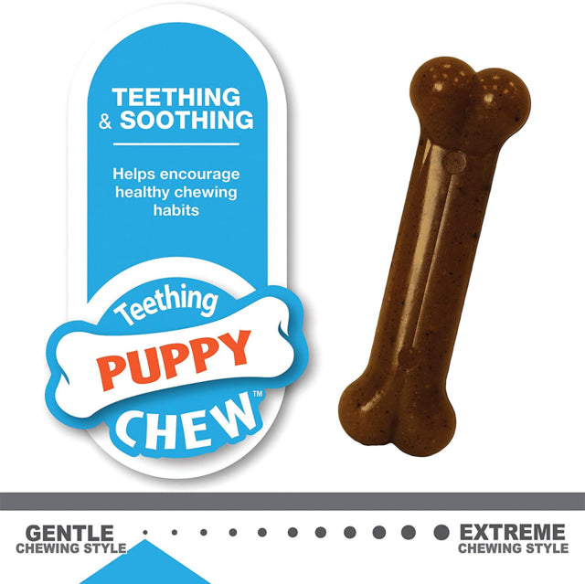 Nylabone Puppy Chew Bone & Ring Bone Twin Pack Dog Toy