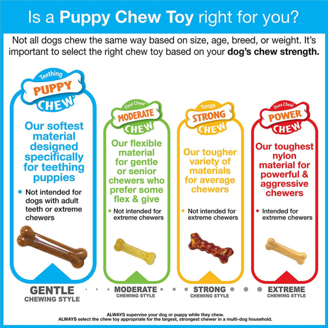 Nylabone Puppy Chew Bone & Ring Bone Twin Pack Dog Toy, Soft for teething Puppies, Chicken Chew, Pet Essentials Warehouse, Poster