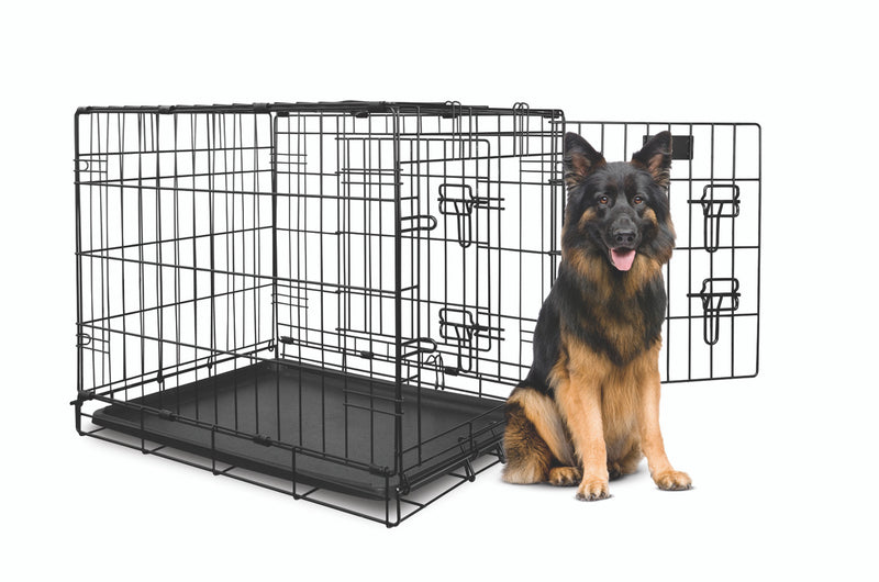 German Shepherd dog standing next Yours Droolly Double Door Giant Dog Crate 48 inch , Pet Essentials Warehouse, Pet City 