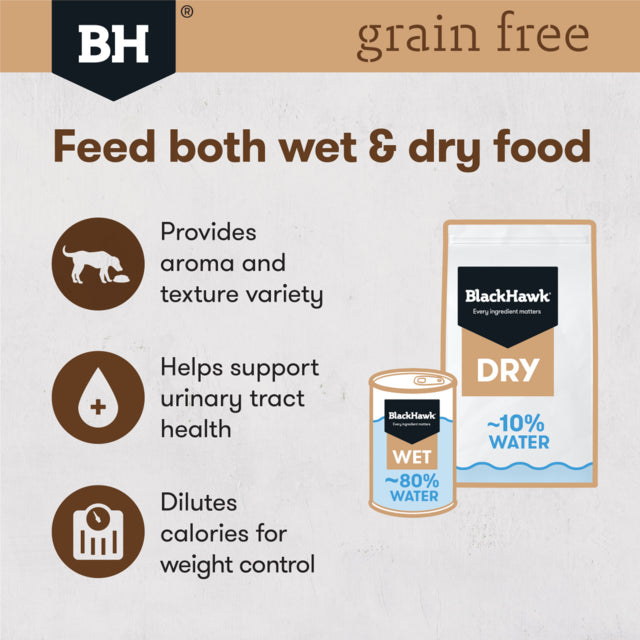Black Hawk Grain Free Adult Lamb Canned wet food on a fork, lamb dog food mix with dry food, pet essentials warehouse