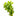 Giant Red Bacopa Caroliniana Live Aquatic Plant, Live Plants, Live Aquatic Plants, Pet Essentials Warehouse.