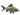 Emerald Green Corydoras, Live Fish, Corydoras, Pet Essentials Warehouse.