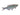 Giant Danio, Live Fish, Danio / Rasbora, Pet Essentials Warehouse.