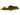 Gold Nugget Pleco, Live Fish, Pleco, Pet Essentials Warehouse.