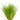 Hairgrass - Eleocharis Acicularis Live Plant, Live Plants, Live Aquatic Plants, Pet Essentials Warehouse.
