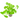 Cardamine Hydrocotyle Live Aquatic Plant, Live Plants, Live Aquatic Plants, Pet Essentials Warehouse.