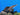 African Knife Fish, Live Fish, Live Aquatic Tropical Fish, Pet Essentials Warehouse.