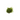 Java Moss Live Aquatic Plant, Live Plants, Live Aquatic Plants, Pet Essentials Warehouse.