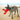 Kong Belly Flops Lobster Dog Toy, Kong, Plush Toys, Pet Essentials Warehouse.