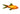 Mixed Nymphs Goldfish, Live Fish, Coldwater Fish, Pet Essentials Warehouse.