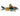 Orange Venezuelan Corydoras, Live Fish, Corydoras, Pet Essentials Warehouse.
