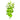 Lysimachia Live Aquatic Plant, Live Plants, Live Aquatic Plants, Pet Essentials Warehouse.