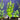 Lysimachia Live Aquatic Plant, Live Plants, Live Aquatic Plants, Pet Essentials Warehouse.