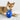 Kong Reefz Dog Toys, Kong, Plush Toys, Pet Essentials Warehouse.