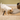 Petsafe Eatwell 5 Meal Pet Feeder, PetSafe, Electric Fountains & Feeders, Pet Essentials Warehouse.
