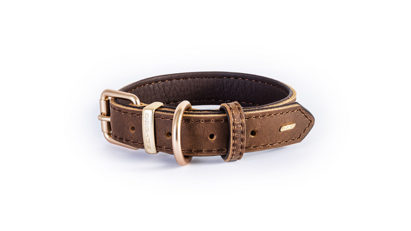 EzyDog Oxford Leather Dog Collar Brown with gold buckle, pet essentials warehouse
