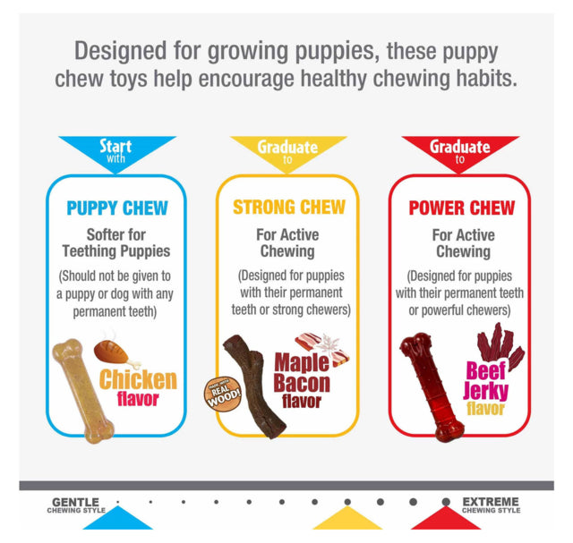 Nylabone Puppy Stages Triple Pack Dog Toy, Puppy chew toy, Puppy stage, Pet Essentials Warehouse, Poster dog toy