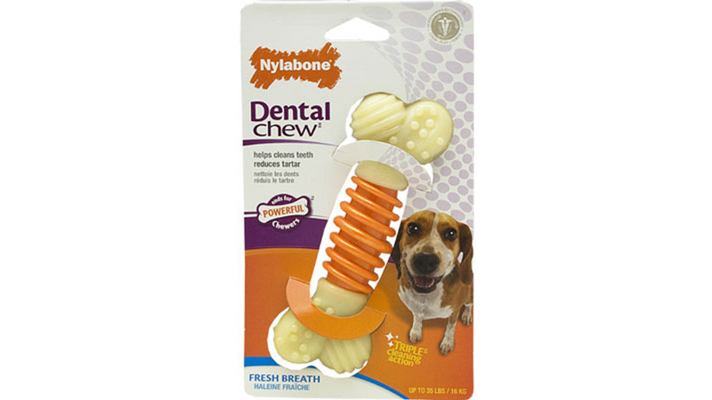 Nylabone Power Chew Dental Pro Action Bone Dog Toy, Strong dog chew, Dental dog chew Medium, Pet Essentials Waehouse
