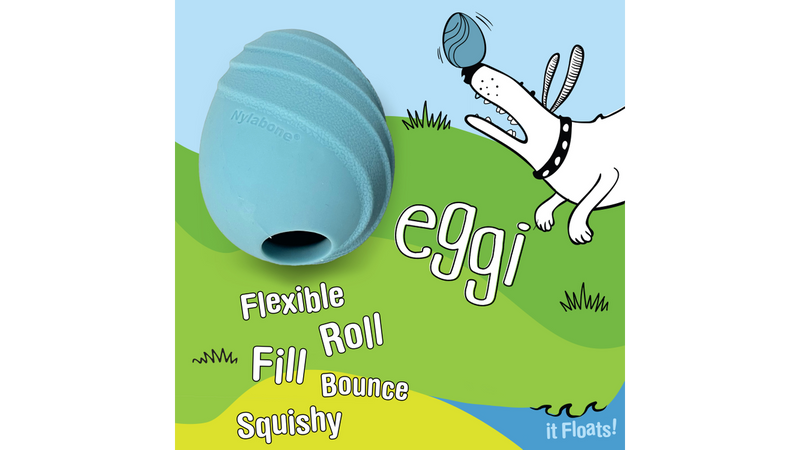 Nylabone Creative Play Eggi, Large Blue dog toy, Fill, Pet Essentials Warehouse