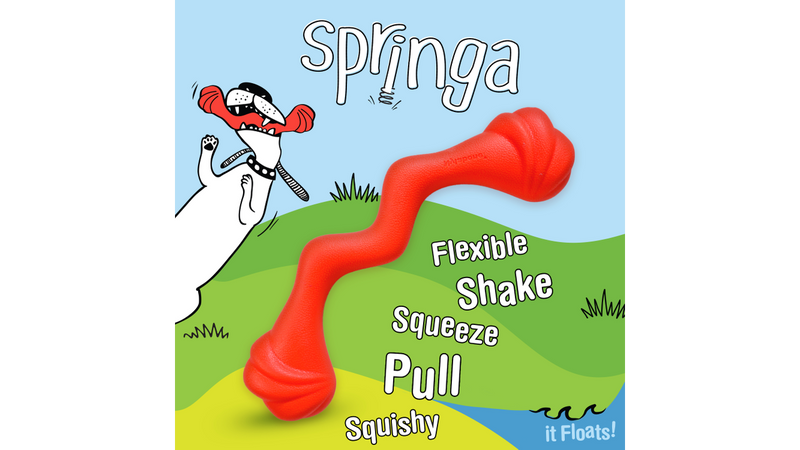 Nylabone Creative Play Springa flexible shake pull dog toy, pet essentials warehouse