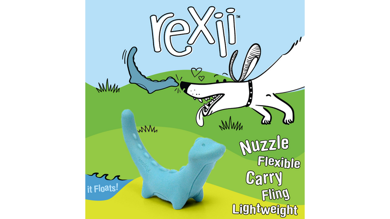 Nylabone Creative Play Rexii, Dog toy, Carry, Light Weight, Pet Essentials Warehouse