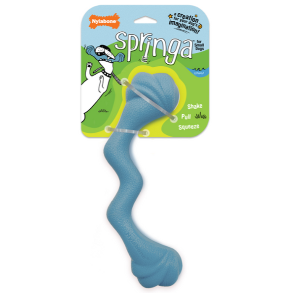 Nylabone Creative Play Springa blue in packaging, pet essentials warehouse