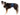 Trixie Belly Band For Male Dogs, Trixie, Dog Clothing, Pet Essentials Warehouse.