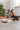 Trixie Christmas Plush Santa Dog Toy, Trixie, Plush Toys, Pet Essentials Warehouse.