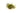 Water Rose Alternanthera Live Aquatic Plant, Live Plants, Live Aquatic Plants, Pet Essentials Warehouse.