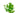 Giant Red Bacopa Caroliniana Live Aquatic Plant, Live Plants, Live Aquatic Plants, Pet Essentials Warehouse.