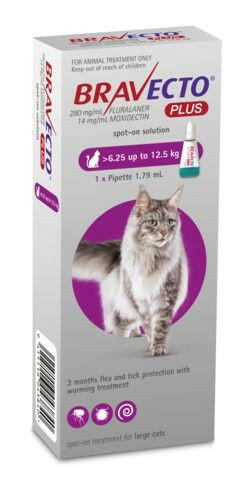 Bravecto Plus Spot On Flea Treatment For Cats 6.25 12.5kg Cat Flea Treatment Pet Essentials
