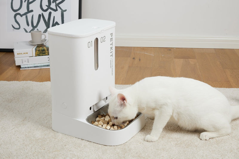 PETKIT Fresh Element Gemini Smart Feeder, cat using eating from petkit smart feeder