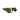 Huskimo Lighting Bolt Olive Dog Coat, Huskimo Coats, Dog Coats, Pet Essentials Warehouse.