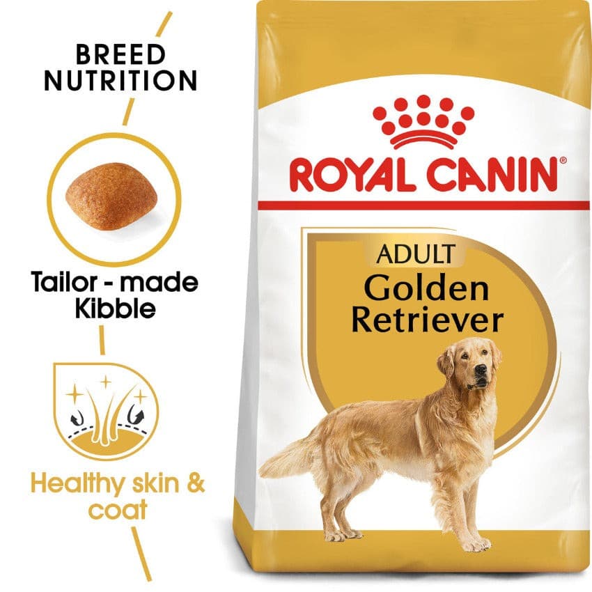 Golden deals retriever essentials