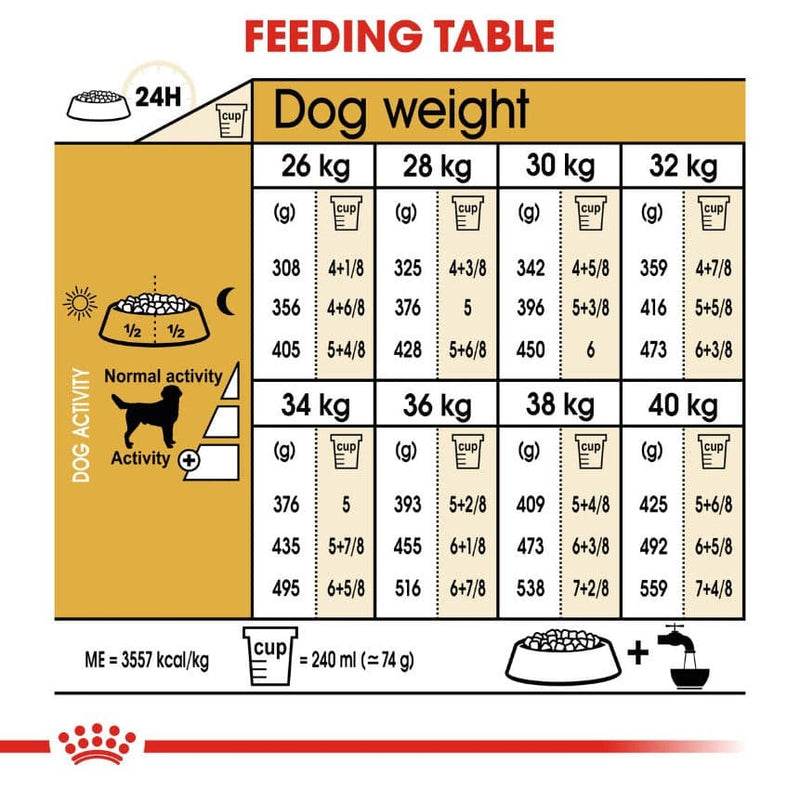 Royal Canin Labrador Retriever Adult Feeding Guide