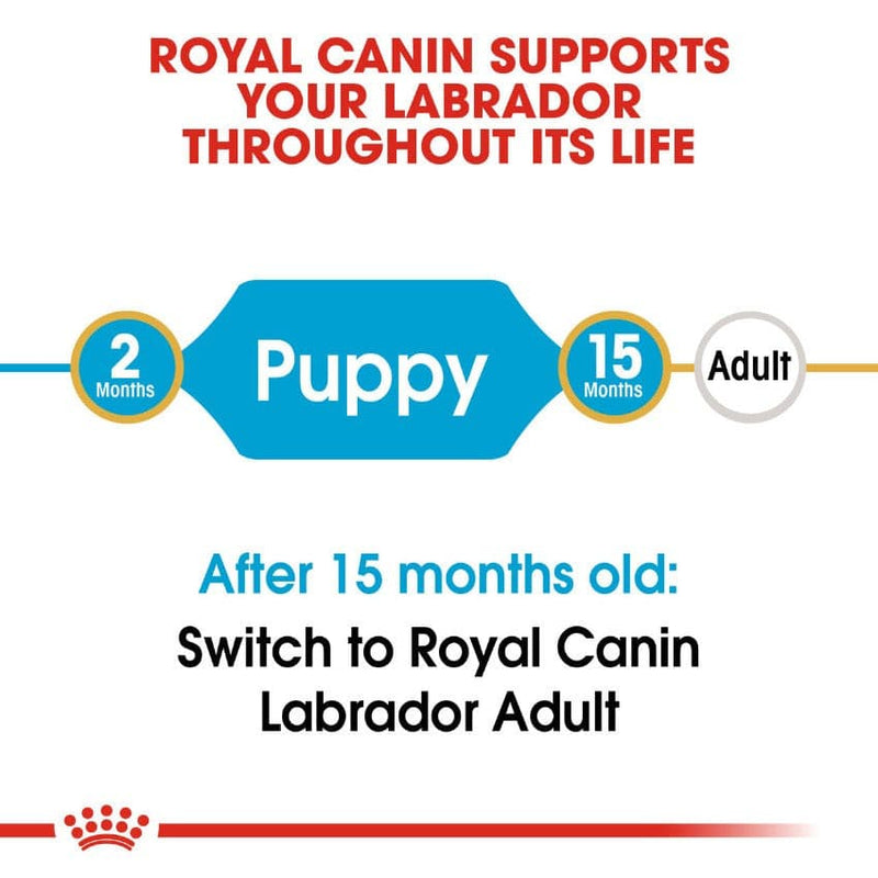 Royal Canin Labrador Retriever Life Stage