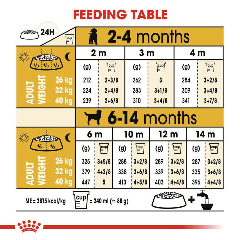Royal Canin Labrador Retriever Feeding Guide
