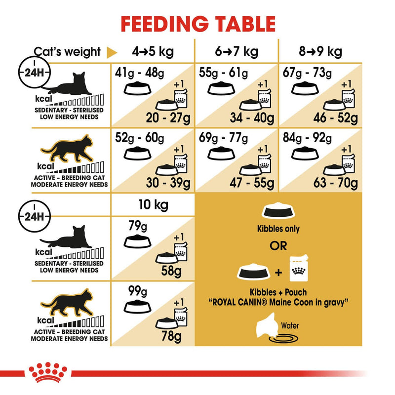 Royal Canin Maine Coon Adult Dry Cat Food feeding guide, pet essentials warehouse napier, pet essentials napier