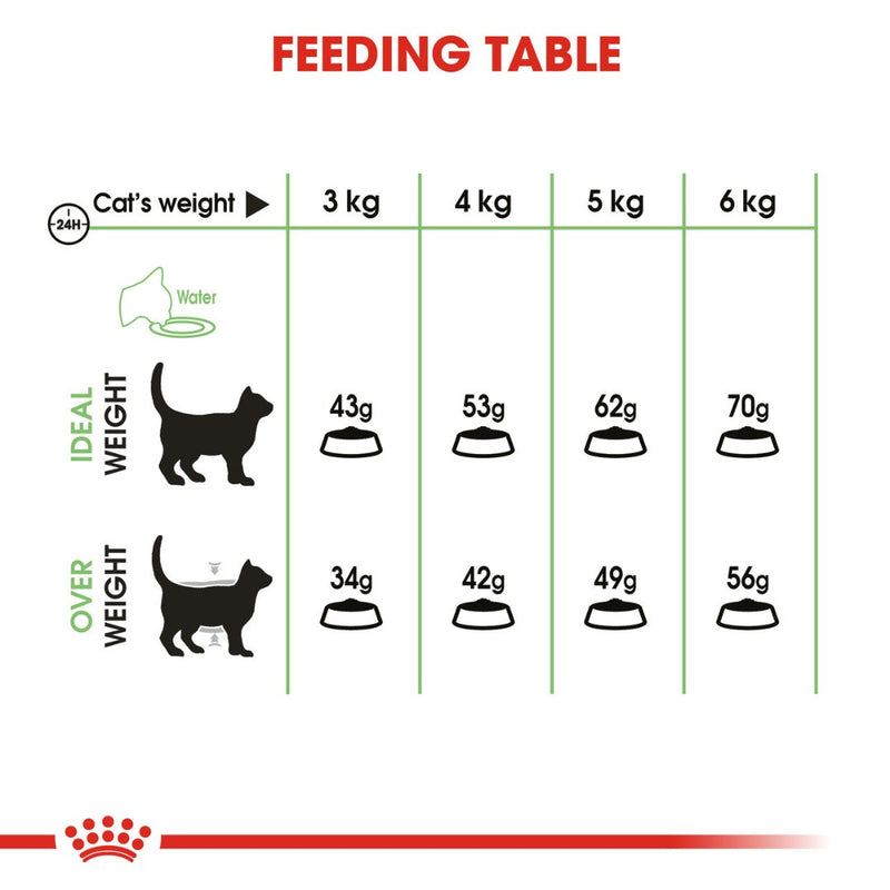 Royal Canin Digestive Care Dry Cat Food feeding guide, pet essentials warehouse napier, pet essentials napier