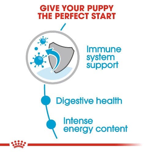 Royal canin mini puppy flyer, Royal Canin Mini Wet Puppy Food, Royal Canin Mini Puppy pouch, Pet Essentials Napier, pets Warehouse, Pet Essentials Hastings, Petdirect