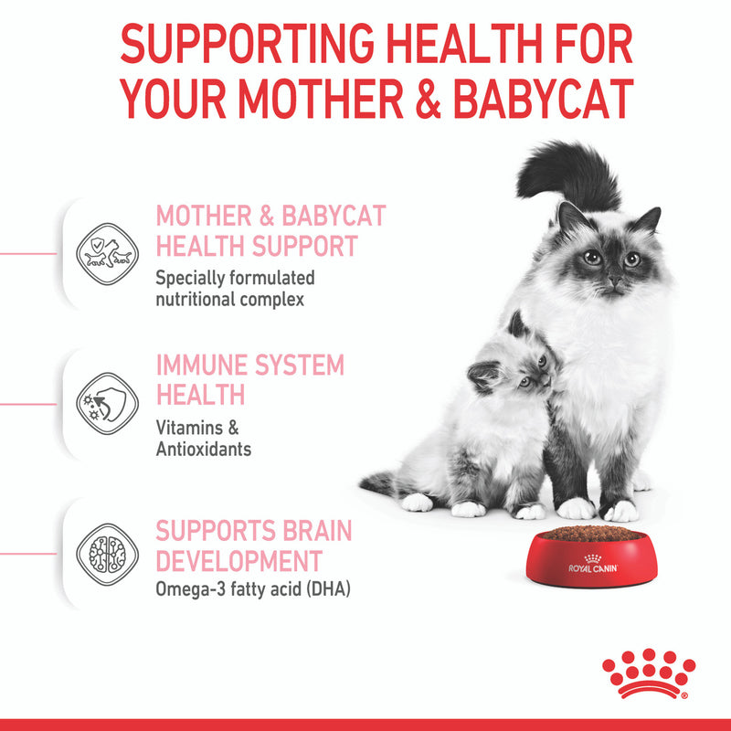Royal Canin Mother & Babycat Dry Cat Food health support, pet essentials warehouse napier