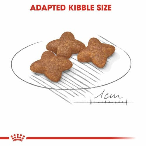 Royal Canin Mini Adult Dry Dog Food kibble size, pet essentials napier